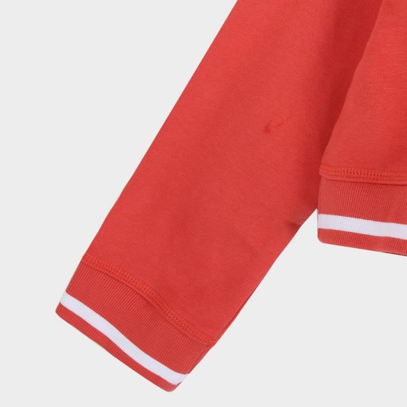 adidas阿迪达斯三叶秋季女子保暖舒适时尚套头衫卫衣DH2944图片