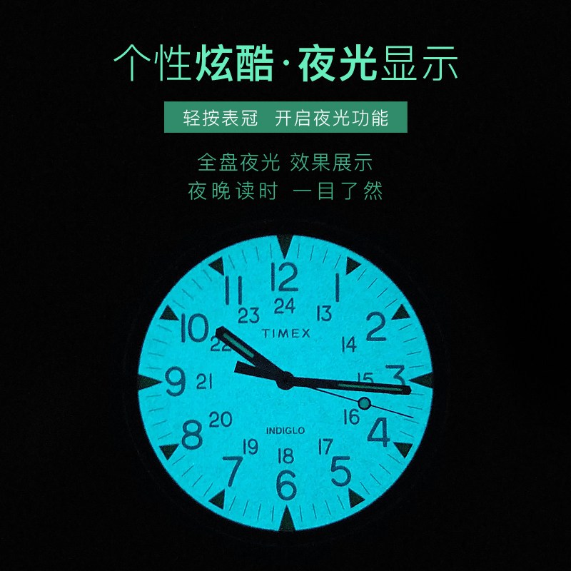 TIMEX天美时手表 时尚经典简约石英男士手表TW2R37400