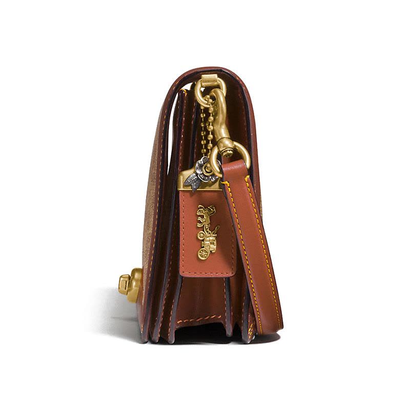 【预定】20新款 COACH RILEY 女士单肩包 31070 25*15*4.5CM图片