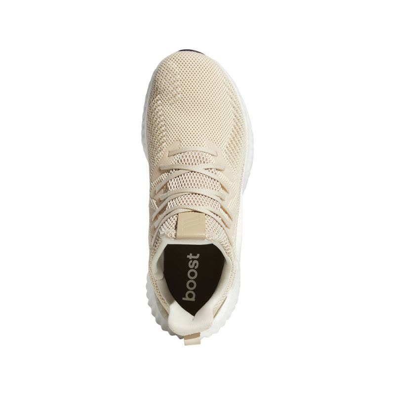 ADIDAS(阿迪)2019alphaboost m BF冬季男子跑步鞋EF1164图片