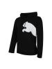PUMA(彪马)Big Logo Hoody TR秋季男子针织卫衣580566-01