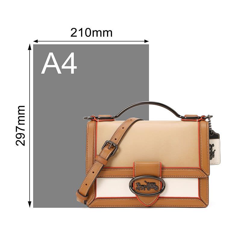 COACH蔻驰 单肩包 粒面皮 1049图片