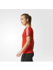 阿迪达斯adidasD2MTEE3S女子训练短袖T恤BQ5810