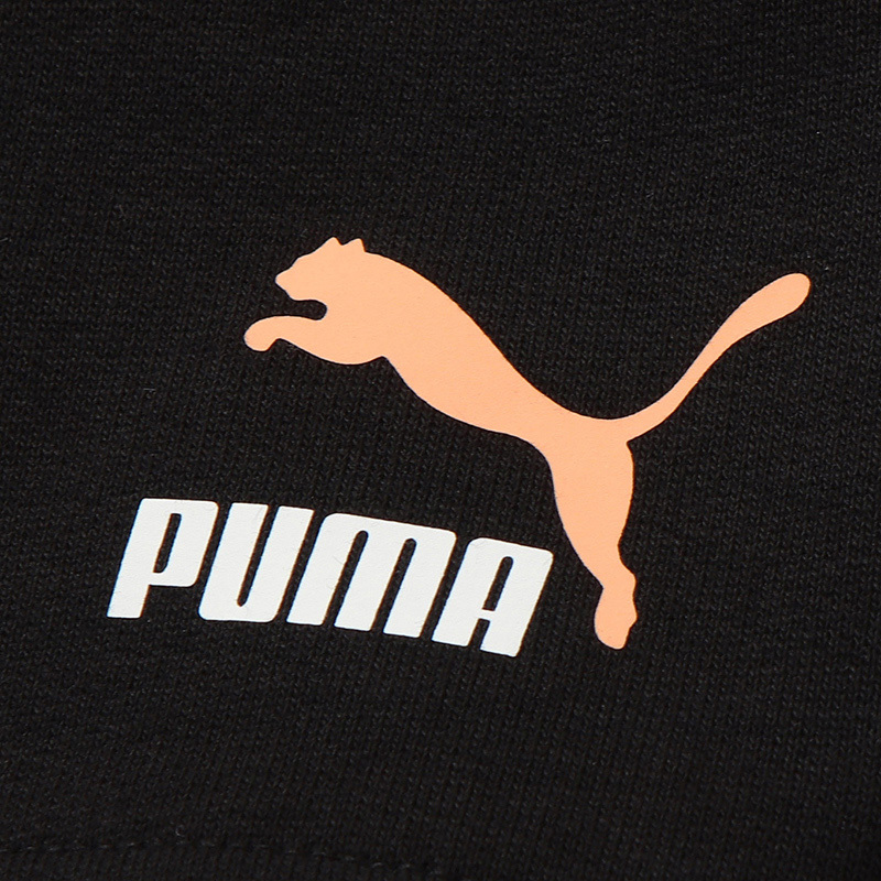 PUMA彪马男裤运动裤休闲短裤532662