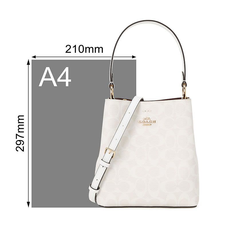 COACH Town 水桶包 字母马车 F2312图片