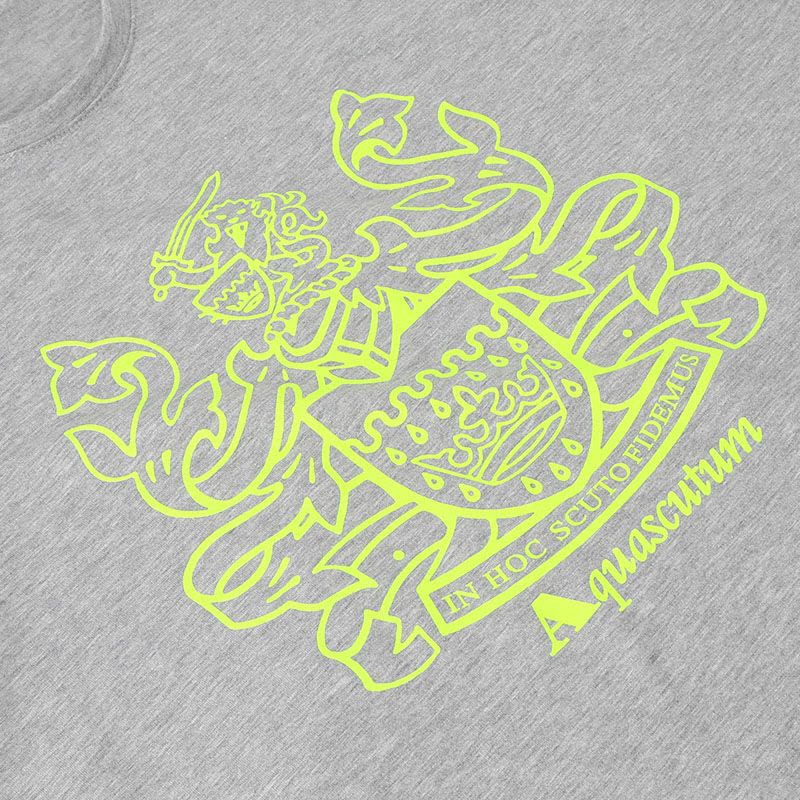 雅格狮丹 AQUASCUTUM 男士T恤 图型印花棉质QMT019M0图片