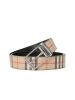 博柏利BURBERRY Vintage 男款腰带3.5D 针扣经典条纹织物8025138银扣