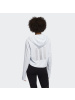 ADIDAS(阿迪)ADAPT HOODIE W秋季女子卫衣DZ9017