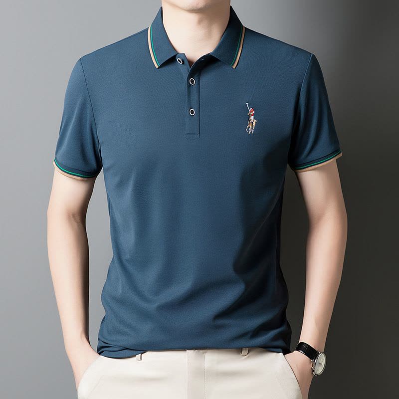 polo衫男2025夏季新款翻领刺绣时尚潮牌透气短袖男士T恤图片