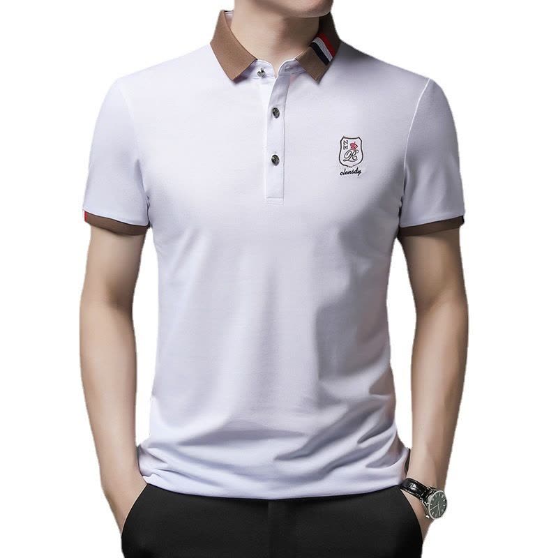 Ceen Bulled男式polo衫 短袖翻领纯色T恤商务休闲工作服装夏薄款刺绣印字logo图片