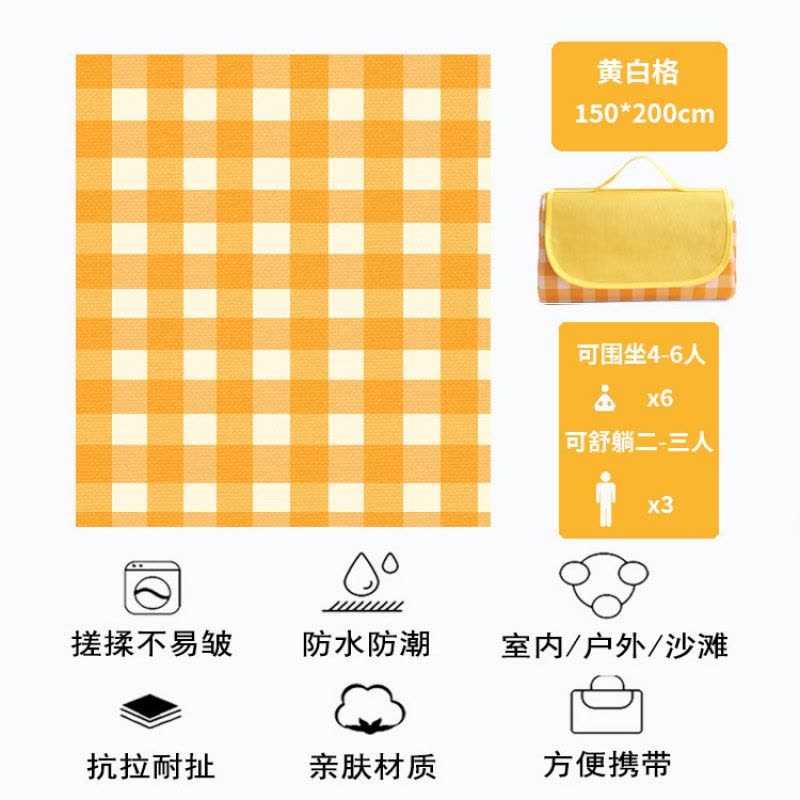 Ceba春游防潮垫野餐布户外便携防水草野炊地垫子郊游加厚ins风图片