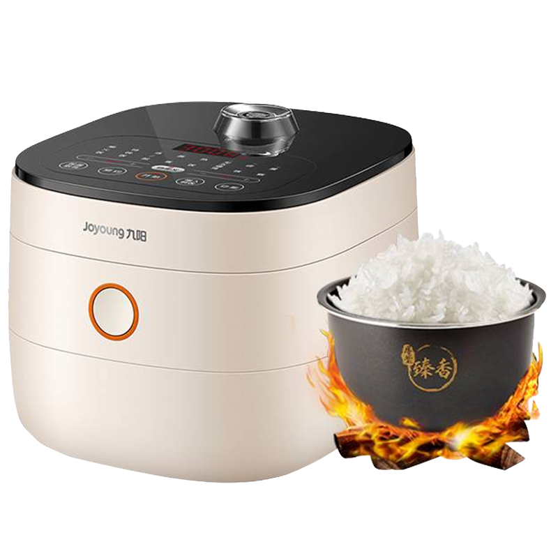 九阳(Joyoung)电饭煲家用电饭锅多功能智能预约柴火饭煲汤煮米饭焖炖可做蛋糕5-8人4L容量 F40FY-F504