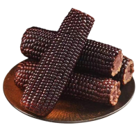 谷本粮农 黑糯玉米6根1.2kg 非转基因鲜食粘糯黑玉米棒 新鲜蔬菜
