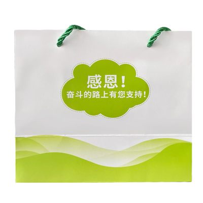 晶睛视力眼贴手提礼袋一个(请勿单独拍))