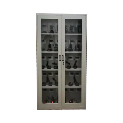 天瑞通邦 二门工具存放柜(可充电) 850*390*1800mm 套