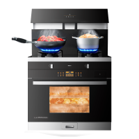 老板集团名气 集成灶一体灶蒸烤箱款 家用环保大吸力油烟机燃气灶消毒柜一体机节能易清洁 913FT 液化气