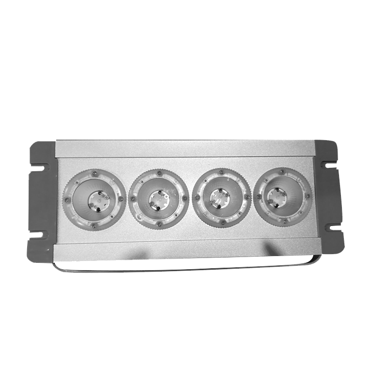 深照紫光 GFE9022D 应急低顶灯