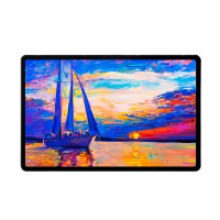 联想(Lenovo)小新Pad Pro11.5英寸平板电脑+保护夹+磁吸键盘+触控笔套装 高通骁龙870 莱茵低蓝光学习模式 2.5K OLED屏 6GB+128GB 灰色