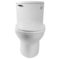 TOTO分体坐便器家用虹吸智洁马桶CW804RB卫洗丽盖板TCF3A460KCN