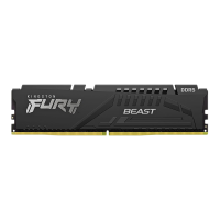 金士顿 (Kingston) FURY 16GB DDR5 4800 台式机内存条 Beast野兽系列 骇客神条 台式一体机第5代低功耗高性能内存条 台式组装机电脑内存条