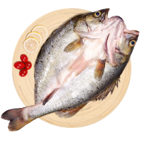 好拾味 国产冷冻鲜蒸三去海鲈鱼(去鳃去鳞去内脏)500g 生鲜 海鲜水产