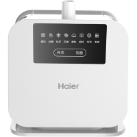 海尔(Haier)多功能蒸气挂烫机HY-GF2108多角度熨烫智能八档