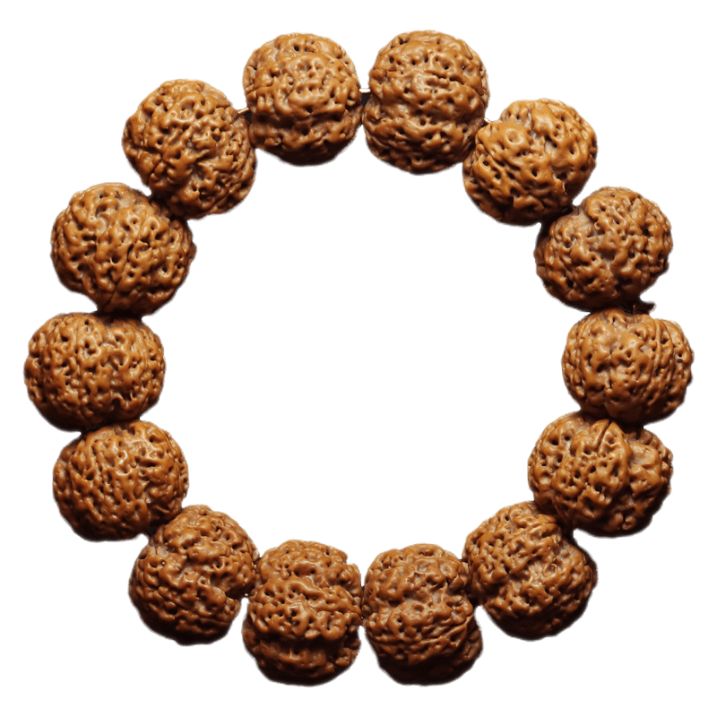 [梵心阁]孤品 尼泊尔大金刚菩提双龙纹爆肉六瓣大籽平头平尾收藏级菩提子手串佛珠手链男文玩一物一图 孤品收藏六瓣爆肉21m