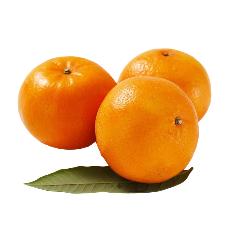 冠町 2022褚橙褚氏云南实建褚柑冰糖沃柑 新鲜水果 优级1.5kg尝鲜装