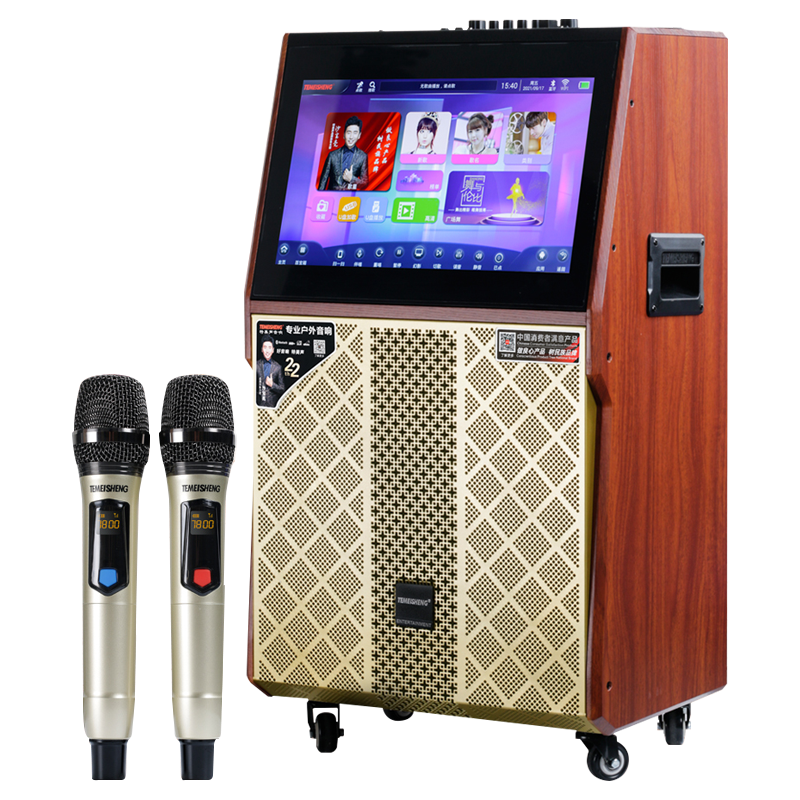 TEMEISHENG 特美声 QX12-67户外广场舞带显示屏音响大功率点歌移动ktv拉杆视频音箱 QX12-67