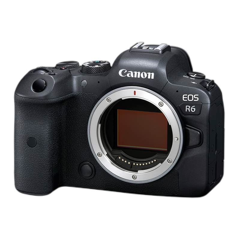 佳能(Canon)EOS R6 单反相机套餐(机身,RF24-70 F2.8镜头,转接环,原装电池、SD存储卡,三脚架)