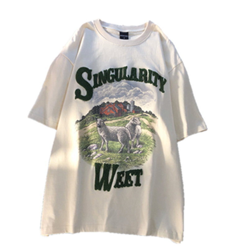 秋壳美式复古字母艺术生风景印花短袖T恤女高级感夏季新款上衣潮