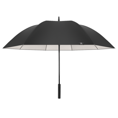 雨伞男士超大号加固加厚结实自动双人长柄暴雨专用抗风直杆伞女