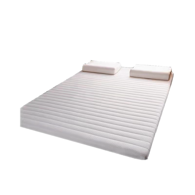 艾洛苏 四季5D立体床垫羽丝棉垫背学生宿舍0.9加厚10cml软垫榻榻米垫被1.5米1.8m床褥