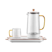 生活元素多功能养生壶 煮茶器 煮茶壶 煎药壶 1.2L容量 电茶壶玻璃烧水壶智能电热水壶D65-H01