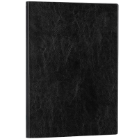 得力(deli) 3185-16K-160页 加厚商务皮面本办公用品 商务办公笔记本(黑色) 5本装