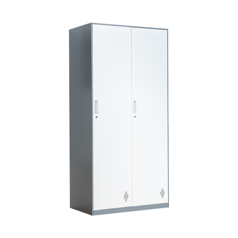 尔迈 薄边更衣柜拆装铁皮柜储物柜员工柜寄存柜存包柜鞋柜宿舍行李柜 灰白套色二门更衣柜