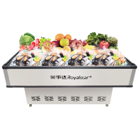 荣事达Royalstar 商用展示冷柜岛柜冰柜卧式点菜大容量展示超市保鲜冰箱AD-1200C