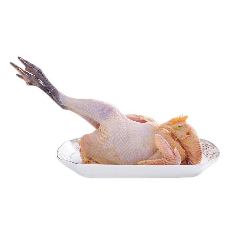 [中华特色]国谷旦 江浙隔日到 外省飞机空运 苏北老母鸡草鸡土净重2.3-2.5斤 现杀顺丰发货