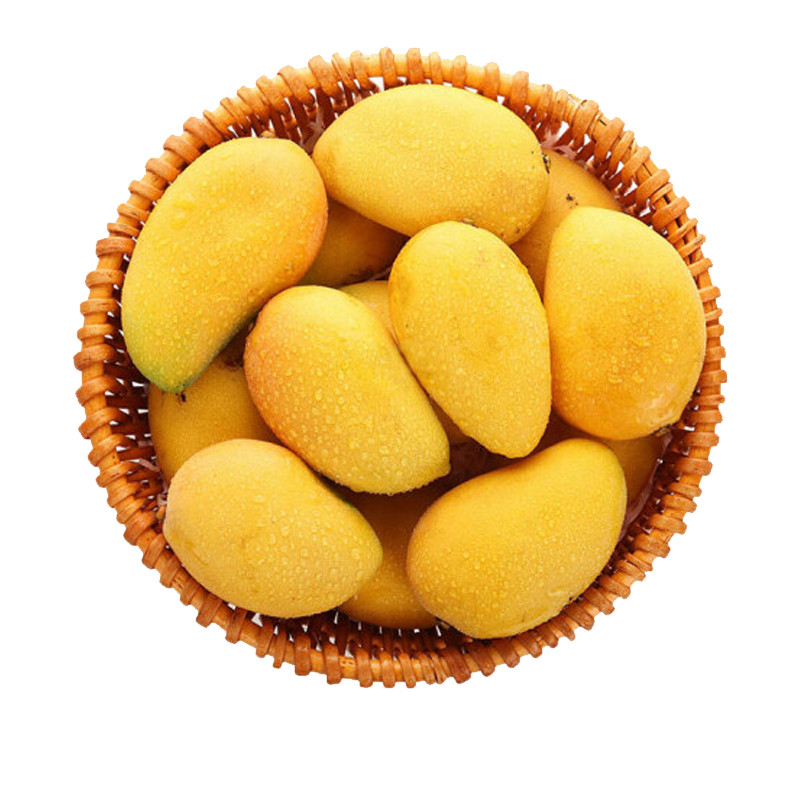 (需催熟)五个农民海南台农9斤大果礼盒装(单果100-150g)芒果新鲜小台芒现摘应当季水果热带芒果整箱