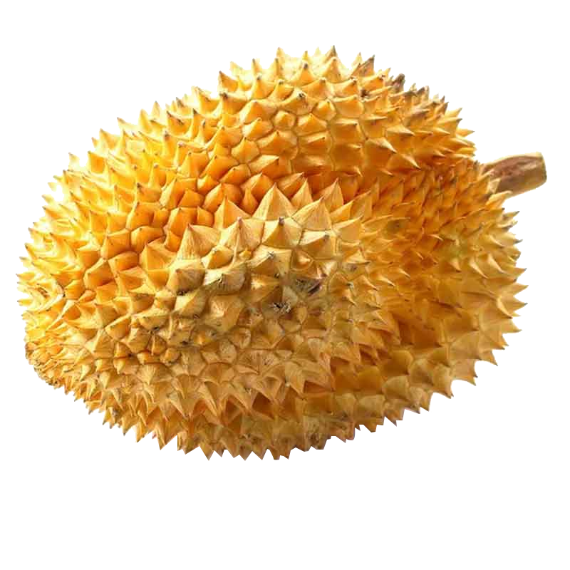 十七只象 泰国金枕榴莲(4-5斤) 新鲜带壳