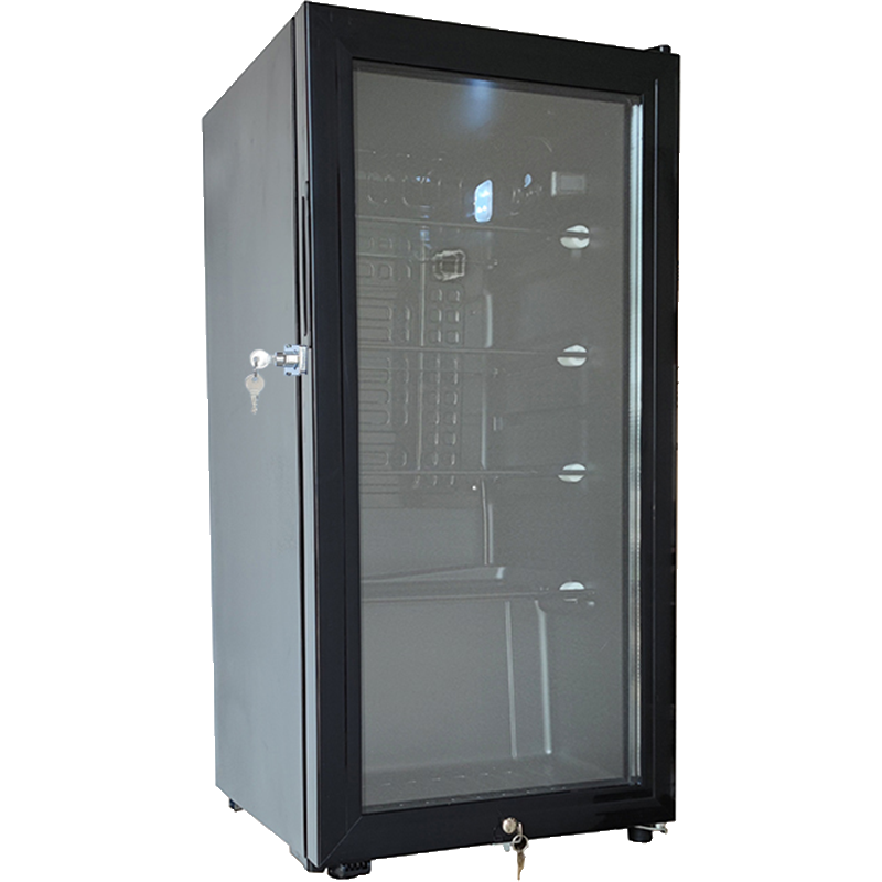 学校幼儿园食品留样柜展示柜切夫曼保鲜冷藏箱酒店客房冰箱带单双锁_30白色双锁4层