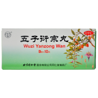 北京同仁堂 五子衍宗丸 9g*10丸 大蜜丸补肾益精用于肾虚精亏所致阳痿早泄不育遗精腰痛尿后余沥男科用药丸剂  1盒装