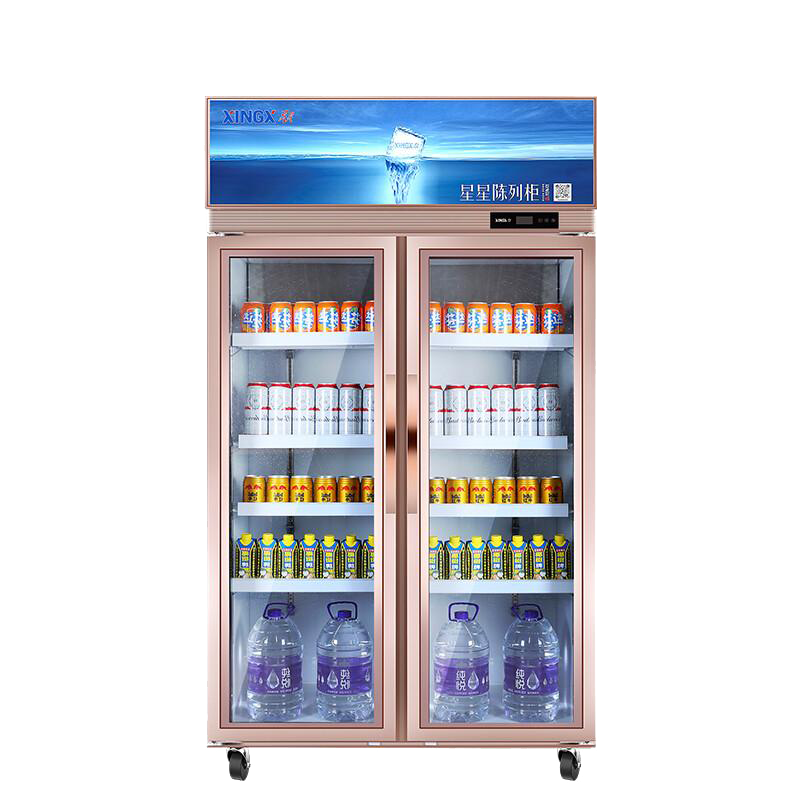 星星(XINGX)810升 双门冷藏立式商用展示柜 保鲜柜 啤酒饮料陈列柜 LSC-810WD