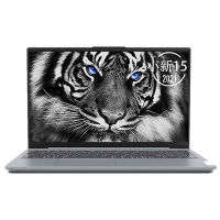 联想(Lenovo)小新15 酷睿十一代i5 15.6英寸轻薄便携笔记本电脑(i5-1135G7 16G 512GSSD MX450-2G独显 w10)银色 官方标配