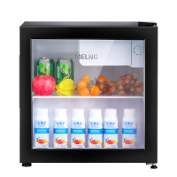 美菱 (MELING) 立式家用冰吧 冷藏保鲜迷你展示柜 茶叶水果护肤品小型冰柜SC-59