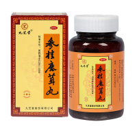 九芝堂 参桂鹿茸丸 110g 小蜜丸补气益肾养血调经肝肾不足气虚血亏体质虚弱腰膝酸软失眠多梦月经不调头晕耳鸣自汗盗汗丸剂