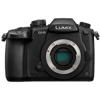 松下(Panasonic)GH5L (gh5+12-60mm二代镜头) 微单数码相机 专业视频拍摄