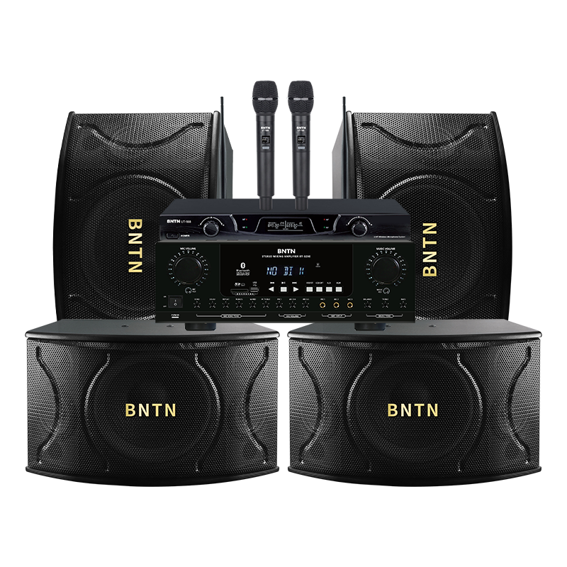 奔腾(BNTN)家庭影院专业ktv音响会议活动室娱乐厅家用卡拉OK 电视音箱8200功放BTK12四只音箱U段无线话筒