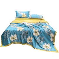 艾洛苏 夏季轻奢空调被水洗天丝棉夏被四件套可机洗冰丝夏凉被仿真丝床品