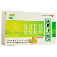 镇南王 清肺抑火片24片清肺止嗽降火生津用于肺热咳嗽痰延壅盛咽喉肿痛口鼻生疮牙齿疼痛